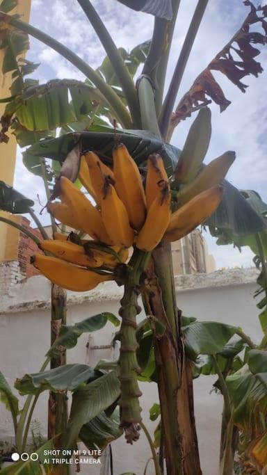 ולנסיה Precioso Apartamento Con A/A En Ruzafa Con Terracita Privada Y Acceso A Un Jardin, Para 2-3 Personas מראה חיצוני תמונה